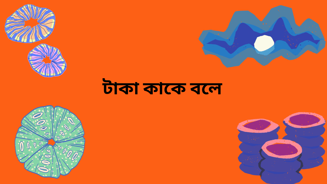 টাকা-কাকে-বলে