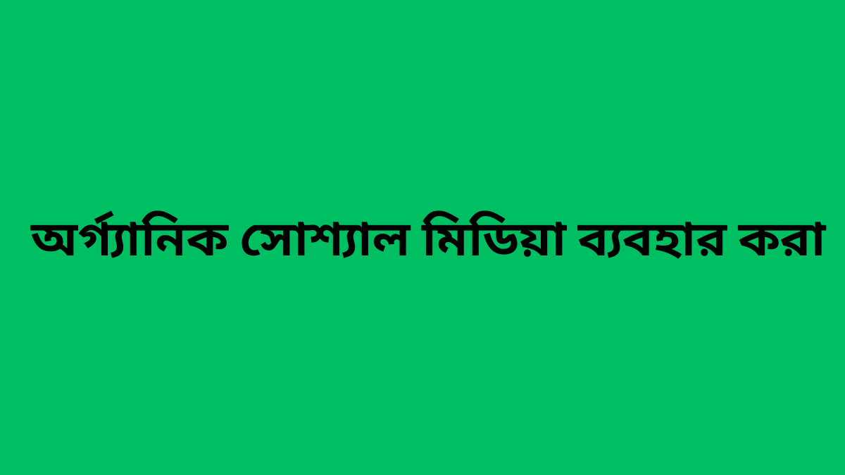 কীভাবে আপনার ওয়েবসাইটের ট্রাফিক আনতে হয়